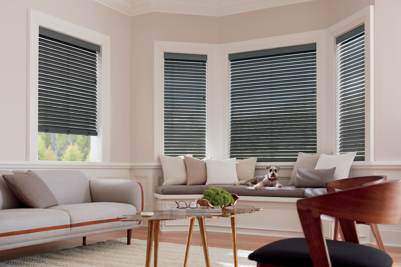 Parkland wood blinds with a dog installed inside a Massachusetts living room