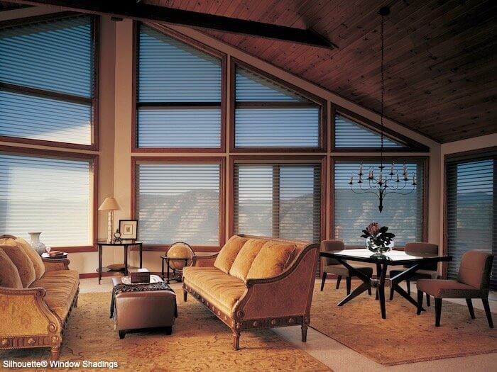 Silhouette Window Shadings - Mountain in Living Room